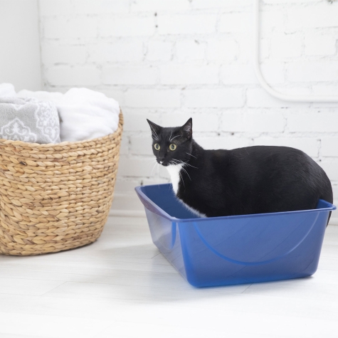 Petmate 22184 Basic Litter Pan, 16 in W, 12 in D, Plastic, Gray - 4