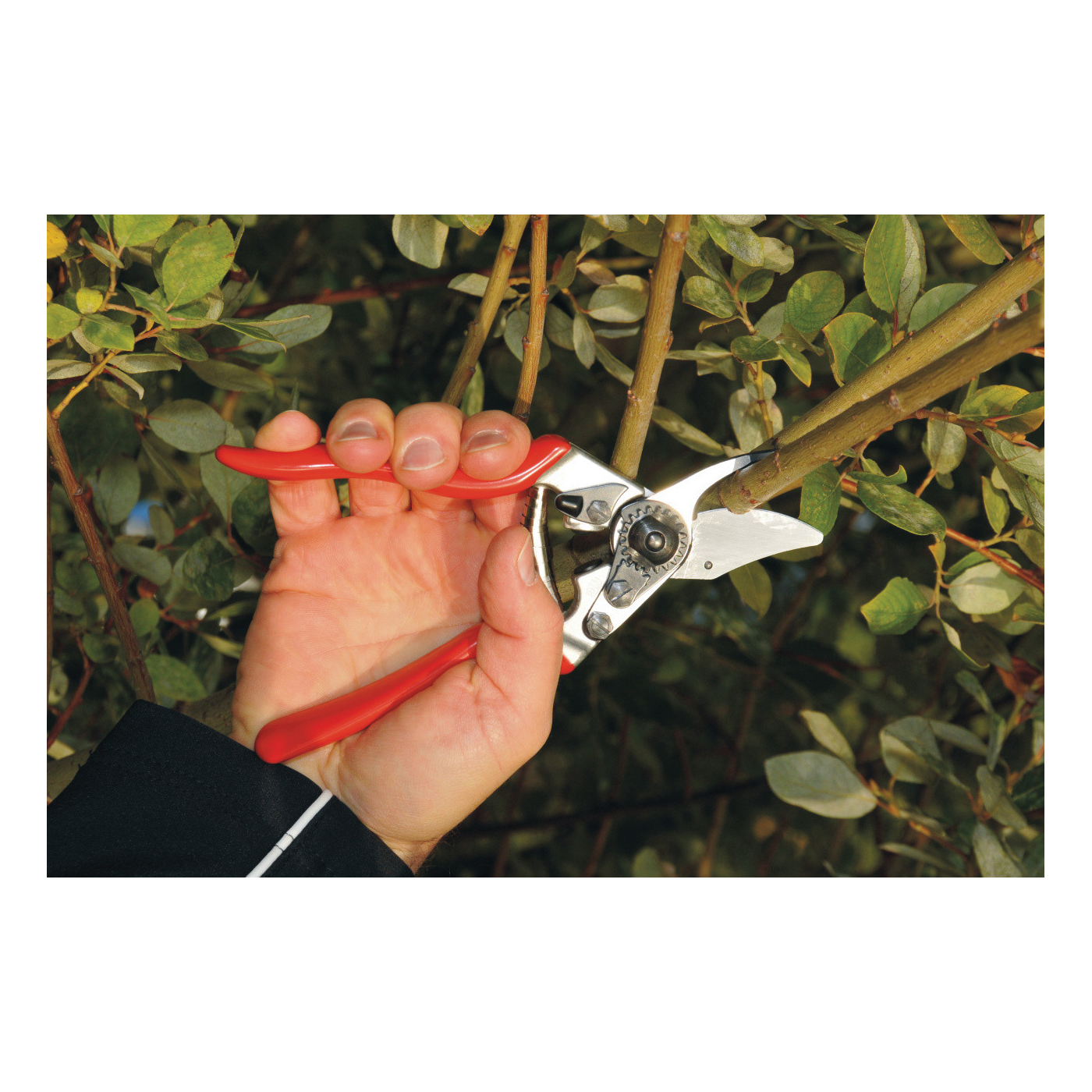 Felco F-6 Pruning Shear, 0.79 in Cutting Capacity, Steel Blade, Bypass Blade, Aluminum Handle - 4