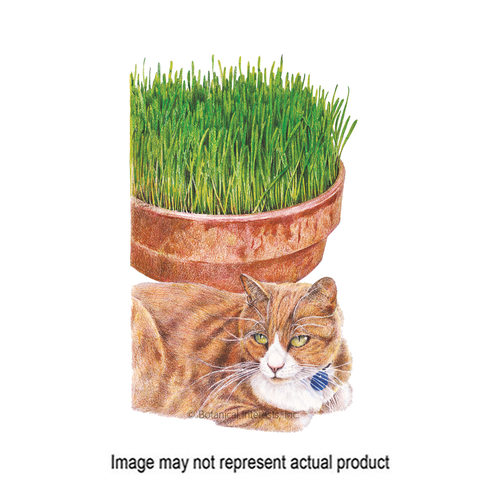 Botanical Interests 6137