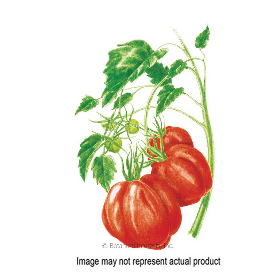 Botanical Interests 3167