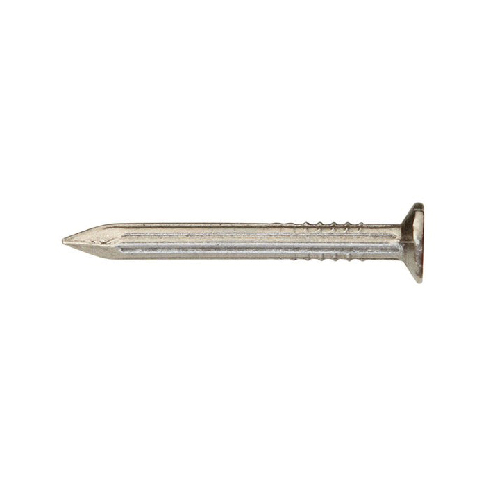 Ace 55124