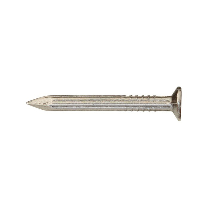 Ace 55122