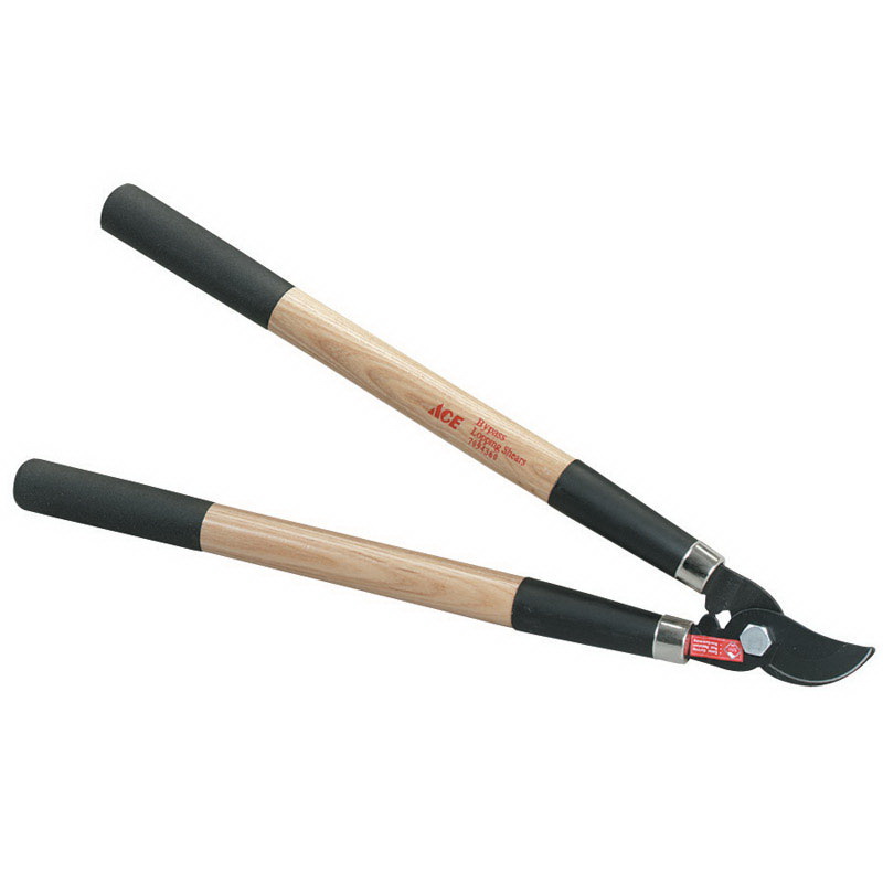 Ace GT2648 A