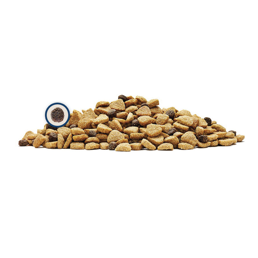 BLUE Life Protection Formula 596021 Dog Food, Senior Breed, Dry, 15 lb Bag - 1