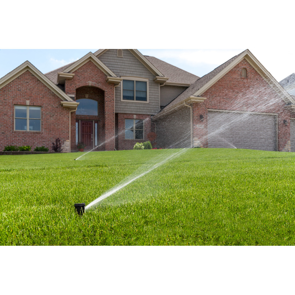 Rain Bird 42SA+ Rotor Sprinkler, 3/4 in Connection, FNPT, 26 to 38 ft, Plastic - 4