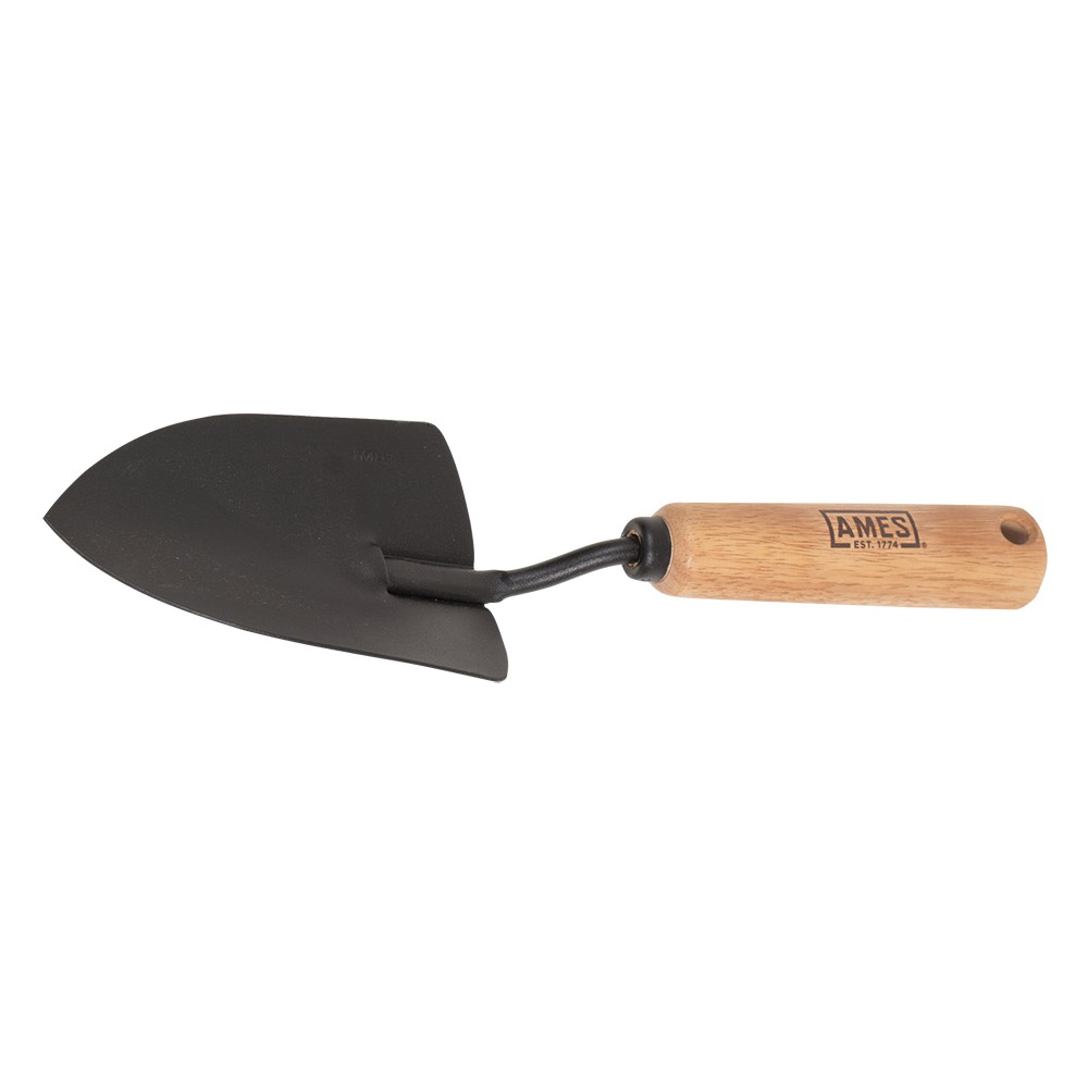 Ames 2446100