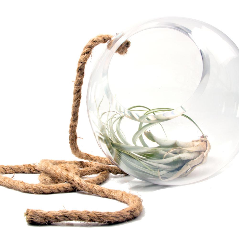 Chive BOHASP Hanging Planter, 10-1/2 in Dia, Spherical, Glass, Includes: 6 ft Rope - 2