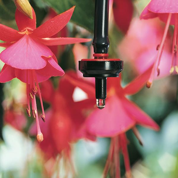Raindrip R560DP Container and Hanging Basket kit - 3
