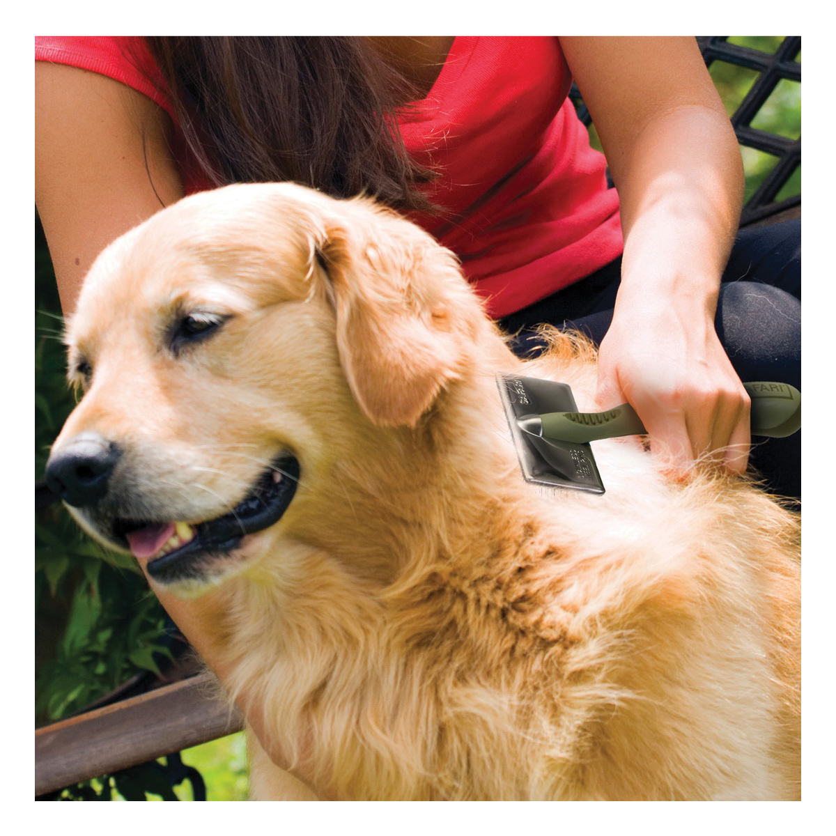 Coastal Pet Products W402 NCL00 Soft Slicker Brush, Specifications: Stainless Steel Pin Material, Small Size, Dog - 2
