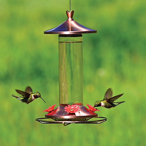 Perky-Pet 710B Bird Feeder, 12 oz, 4-Port/Perch, Glass, Copper, 15-1/2 in H, Hanging - 2