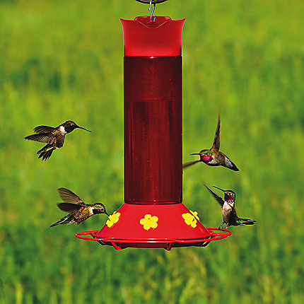 Perky-Pet 409 Bird Feeder, 30 oz, 6-Port/Perch, Plastic, Red, 11.4 in H, Hanging Mounting - 2