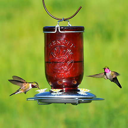 Perky-Pet 786 Bird Feeder, 32 oz, 5-Port/Perch, Glass, Red, 8-1/2 in H, Hanging Mounting - 2