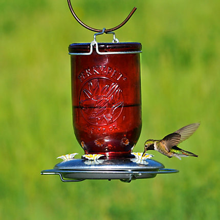 Perky-Pet 786 Bird Feeder, 32 oz, 5-Port/Perch, Glass, Red, 8-1/2 in H, Hanging Mounting - 3