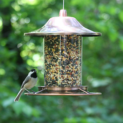 Perky-Pet 312C Panorama Bird Feeder, Perch, 2 lb, Copper, Antique - 3
