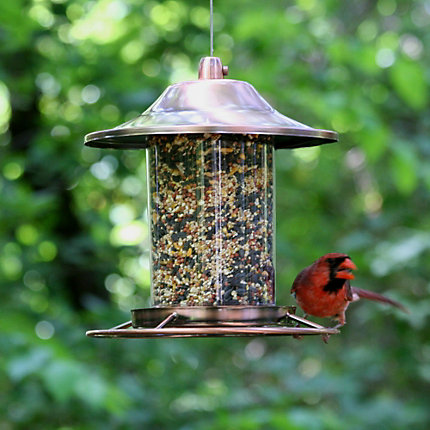 Perky-Pet 312C Panorama Bird Feeder, Perch, 2 lb, Copper, Antique - 4