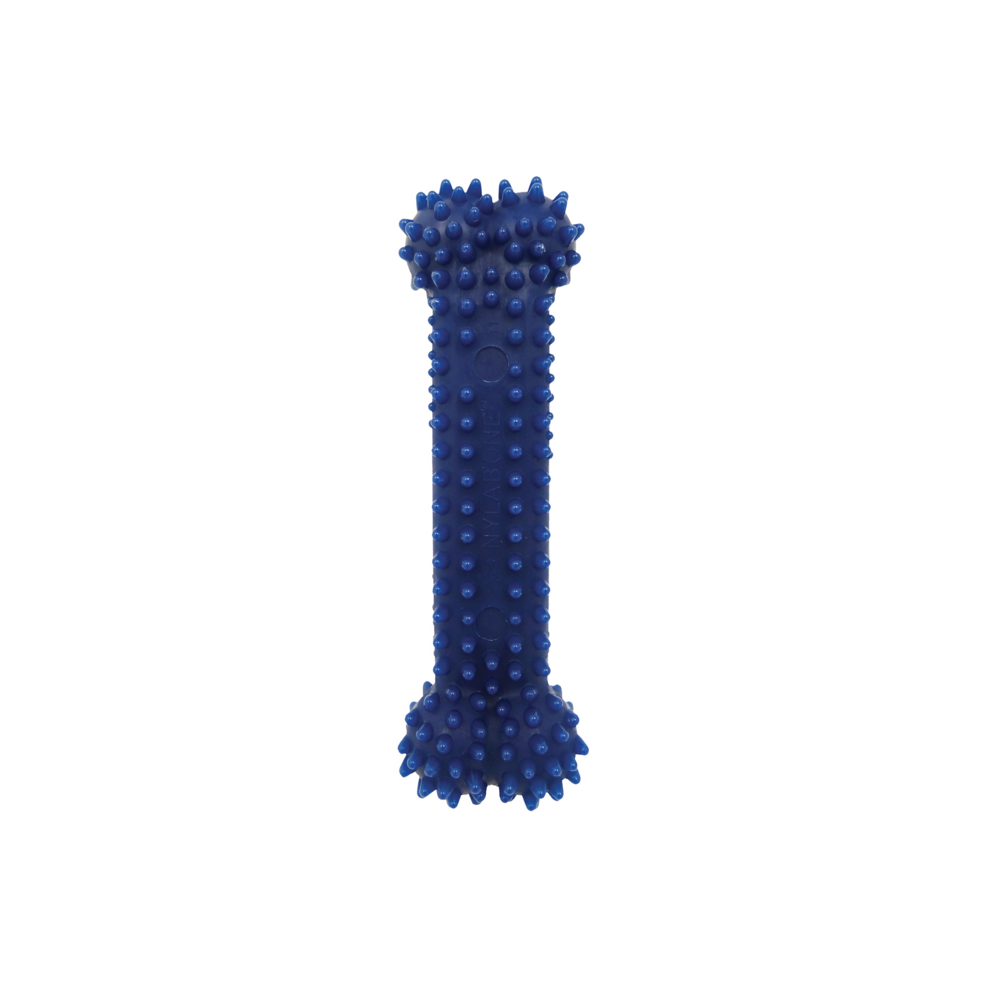 Nylabone NX934P