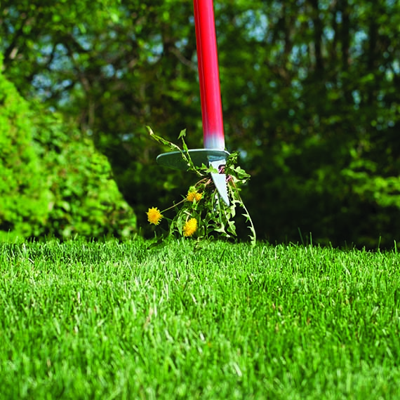 Garden Weasel 95204 Weasel Weed Popper, Steel Blade, Steel Handle, Comfort-Grip Handle, 38 in L Handle - 2
