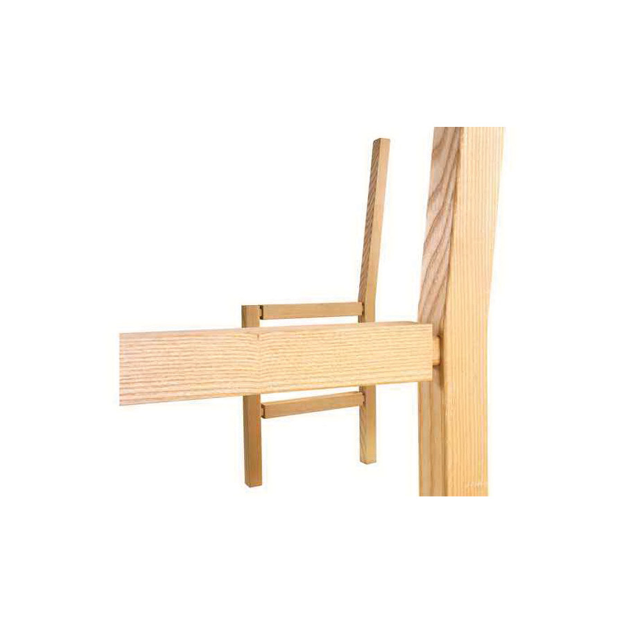 Festool 498216 Tenon, 100 mm L, 12 mm W, Beech Wood - 2
