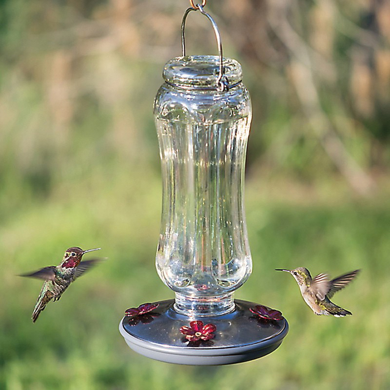 Perky-Pet 8132-2 Bird Feeder, 16 oz, 4-Port/Perch, Glass, Clear, 12 in H, Hanging - 3