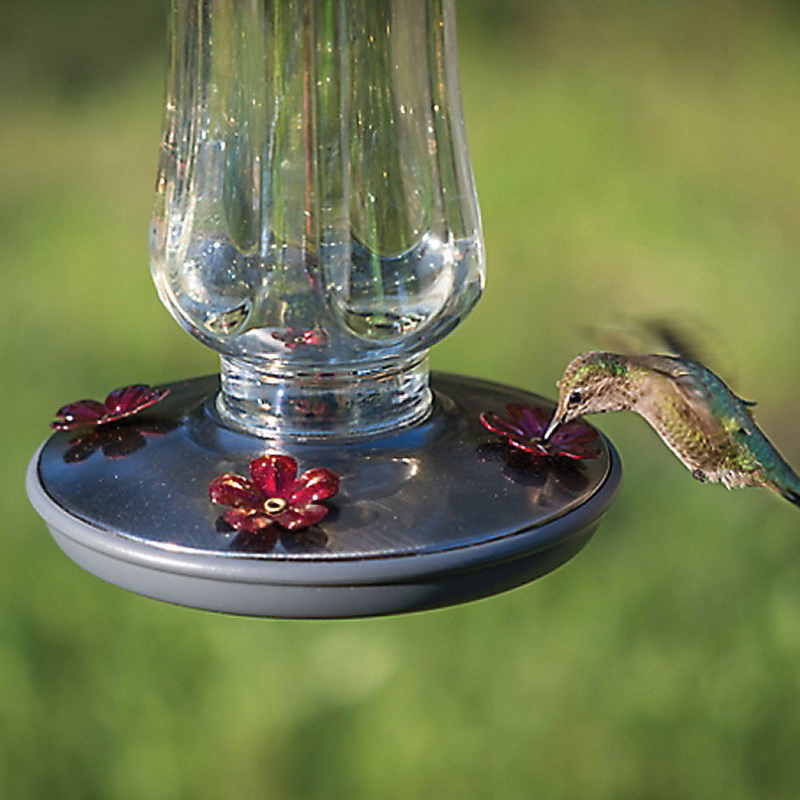 Perky-Pet 8132-2 Bird Feeder, 16 oz, 4-Port/Perch, Glass, Clear, 12 in H, Hanging - 4