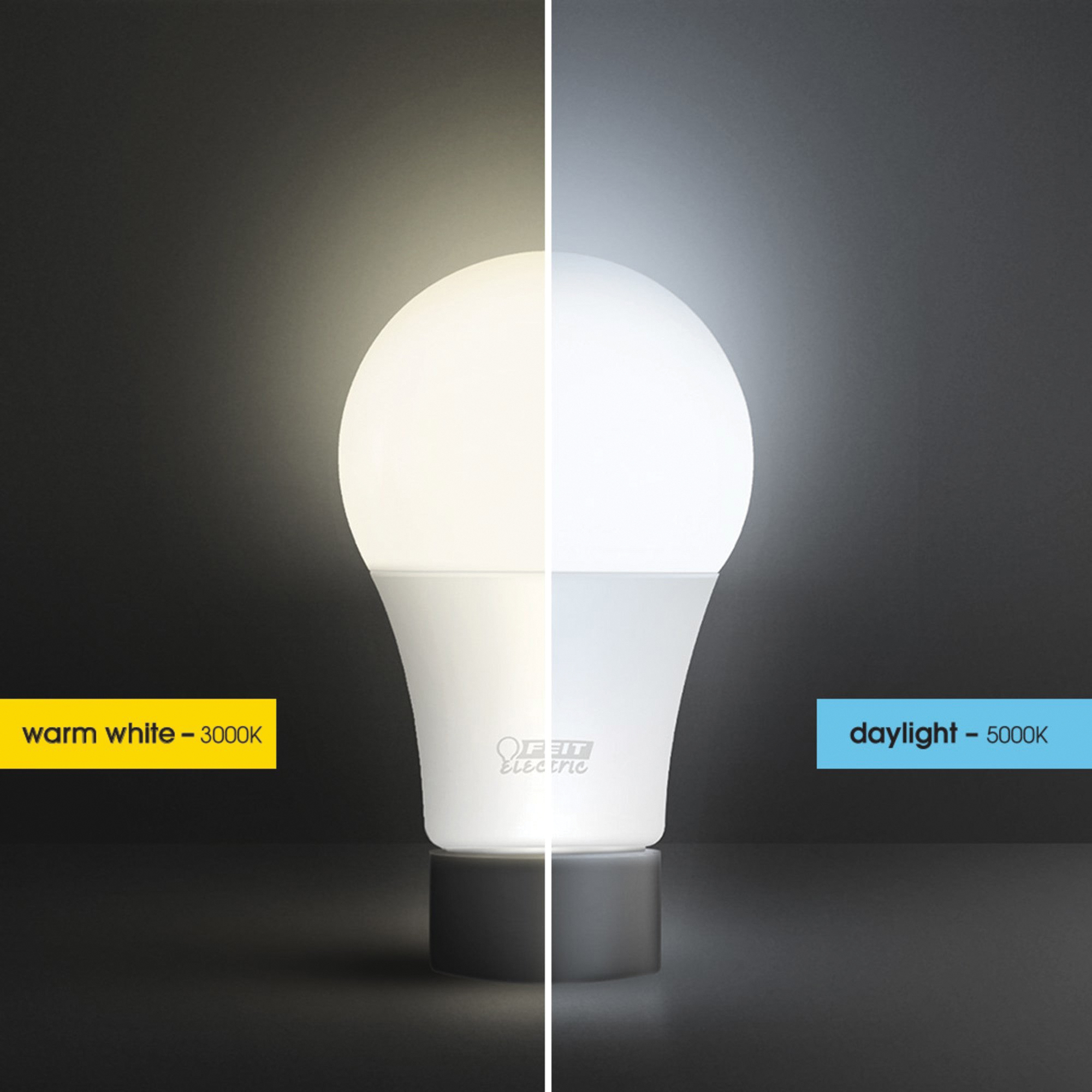 Feit Electric A800/850/10KLED/10 LED Bulb, General Purpose, 800 Lumens, 10 W, A19 Lamp, 60 W Equivalent, E26 Lamp Base - 3