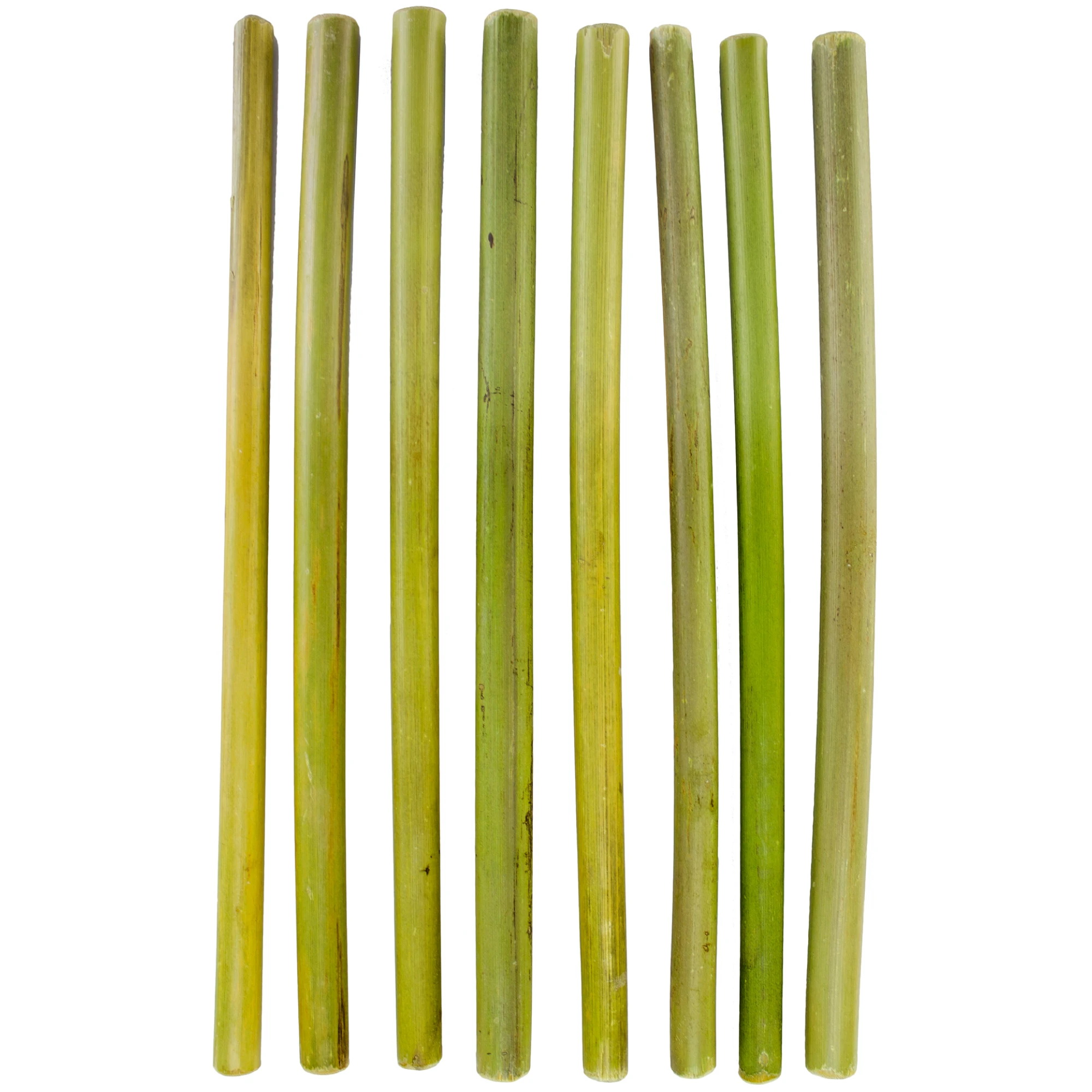 Totally Bamboo 20-6730 Straw, 8-1/2 in L, Bamboo - 4