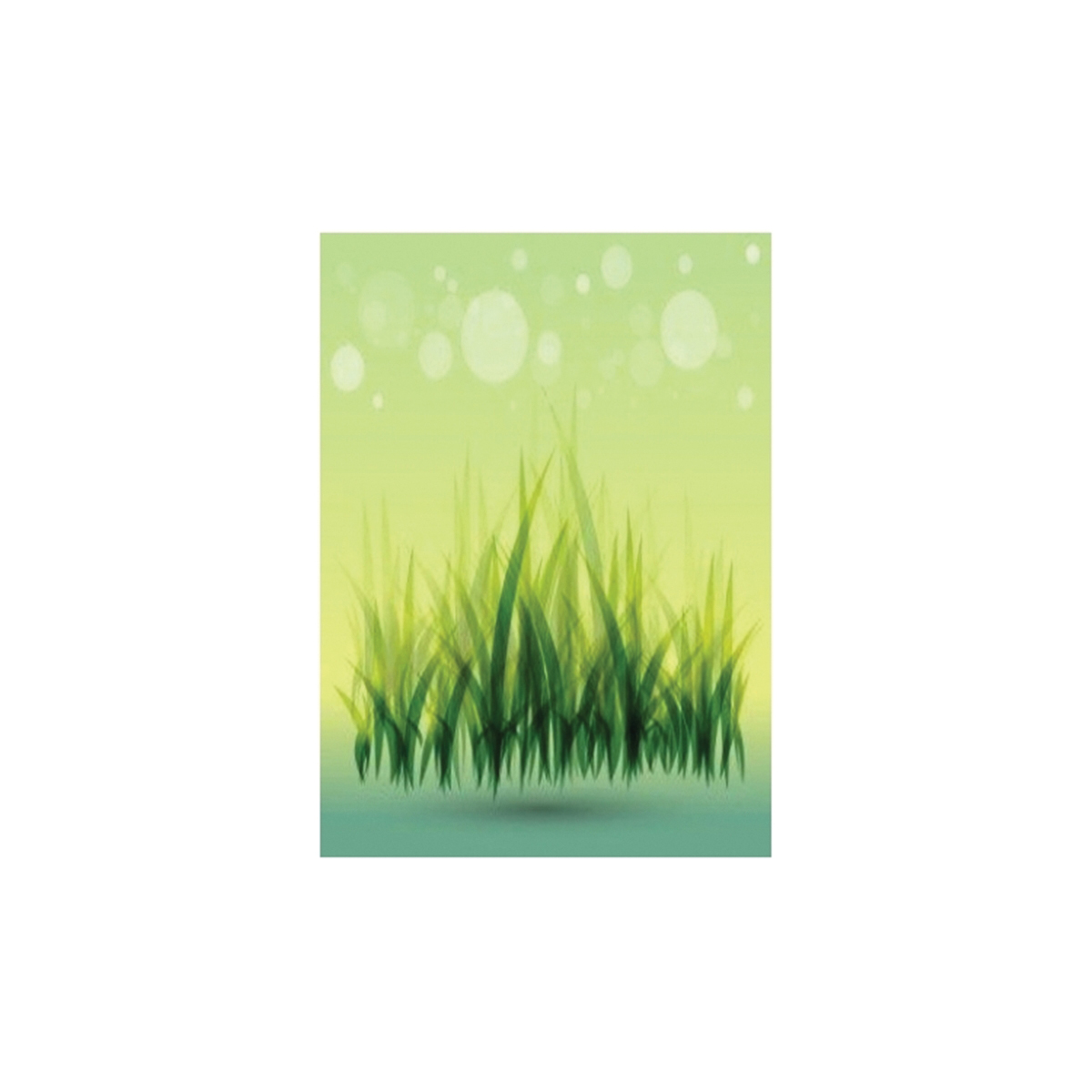 Bbbseed WINTERRYE