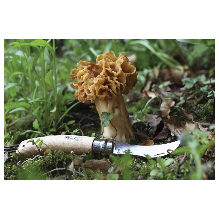 Opinel 1250 Mushroom Knife, 8.5 cm L Blade, Stainless Steel Blade, Beech Wood Handle - 3