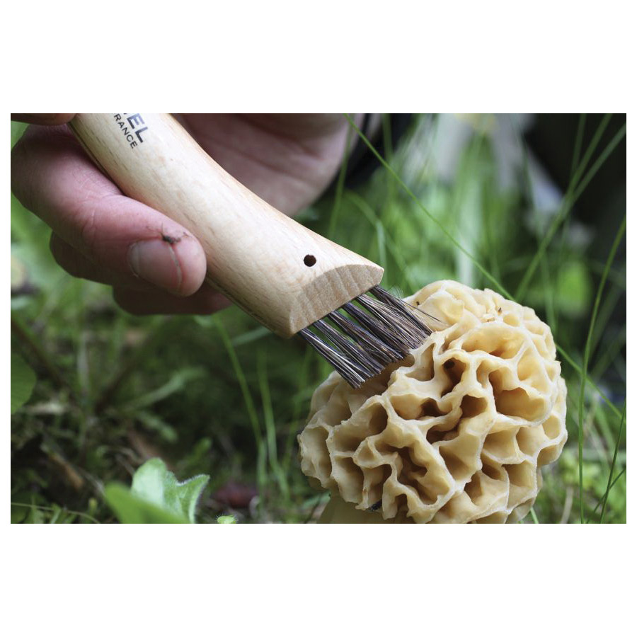 Opinel 1250 Mushroom Knife, 8.5 cm L Blade, Stainless Steel Blade, Beech Wood Handle - 4