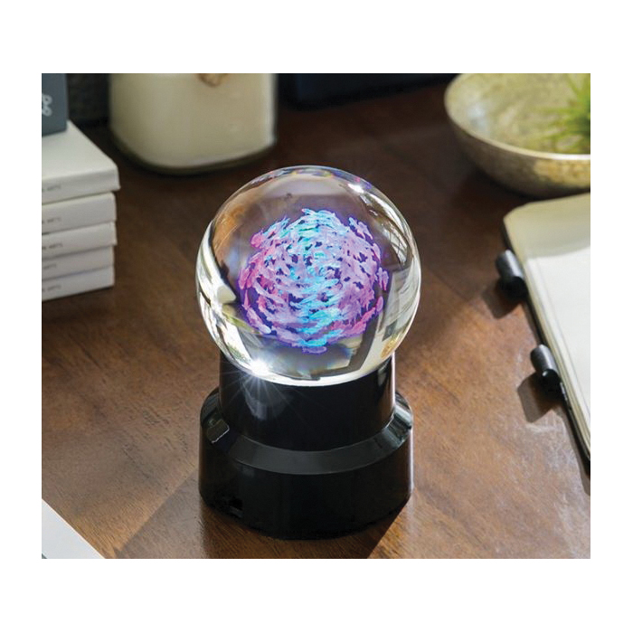 Dynasty Gallery 51207S Crystal Sphere, 3 in W Dimensions - 4