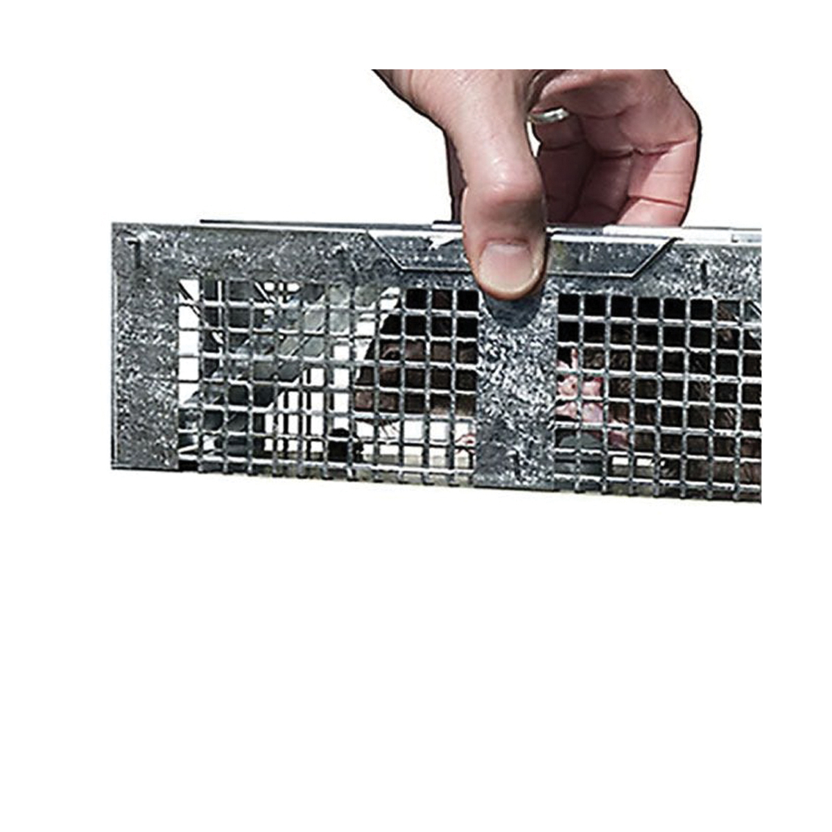 Havahart 1020 Extra-Small Animal Cage Trap, 10 in L, 3 in W, 3 in H, Gravity-Action, Spring-Loaded Door - 3