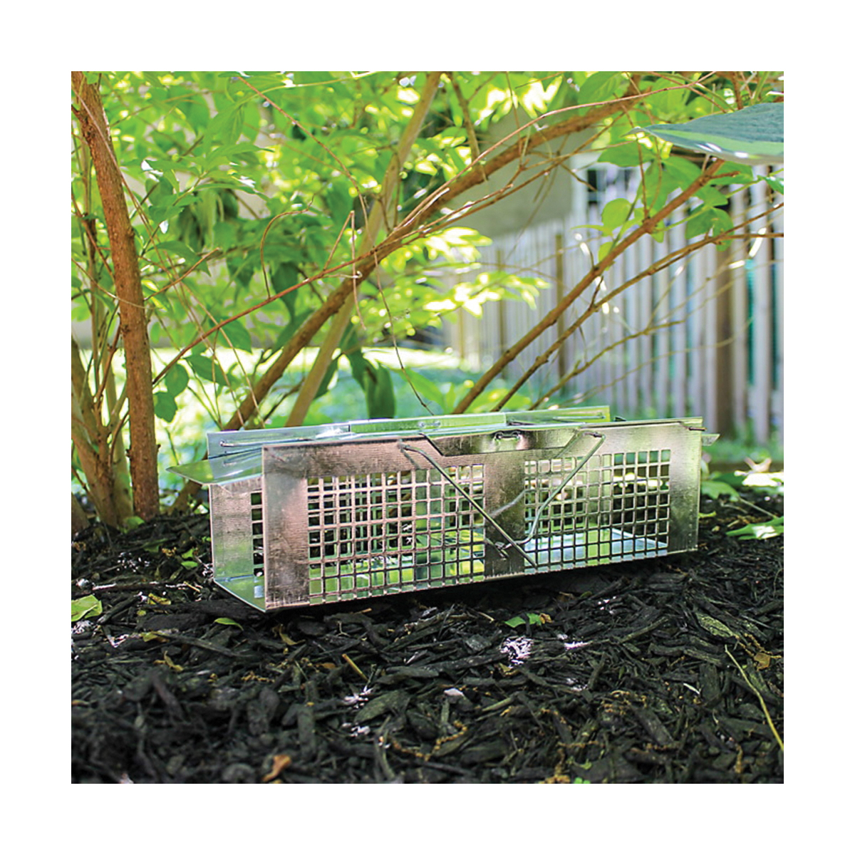 Havahart 1020 Extra-Small Animal Cage Trap, 10 in L, 3 in W, 3 in H, Gravity-Action, Spring-Loaded Door - 5