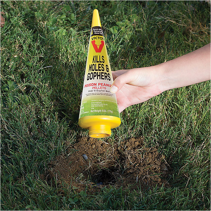 Victor M6006 Mole and Gopher Poison Peanut, Granular, Garlic, Black/Dark Gray, 6 oz - 4