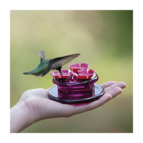 Perky-Pet 9100 Bird Feeder, Hollyhock Flower, 2 oz, Nectar, 3 -Port/Perch, Plastic, Pink, 1-3/4 in H - 2