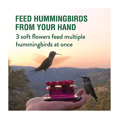 Perky-Pet 9100 Bird Feeder, Hollyhock Flower, 2 oz, Nectar, 3 -Port/Perch, Plastic, Pink, 1-3/4 in H - 3