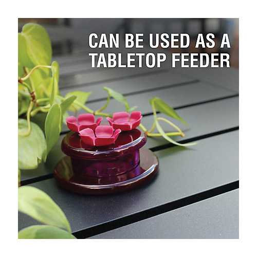 Perky-Pet 9100 Bird Feeder, Hollyhock Flower, 2 oz, Nectar, 3 -Port/Perch, Plastic, Pink, 1-3/4 in H - 4