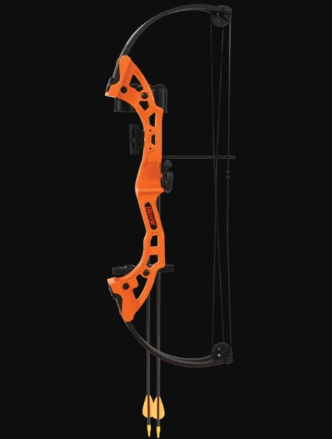 Bear Archery AYS300TR