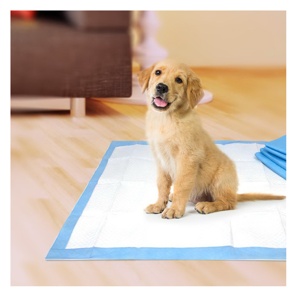 Wee-Wee 100513799 Dog Pee Pad, 22 in L, 23 in W, Polymer, 50/PK - 2