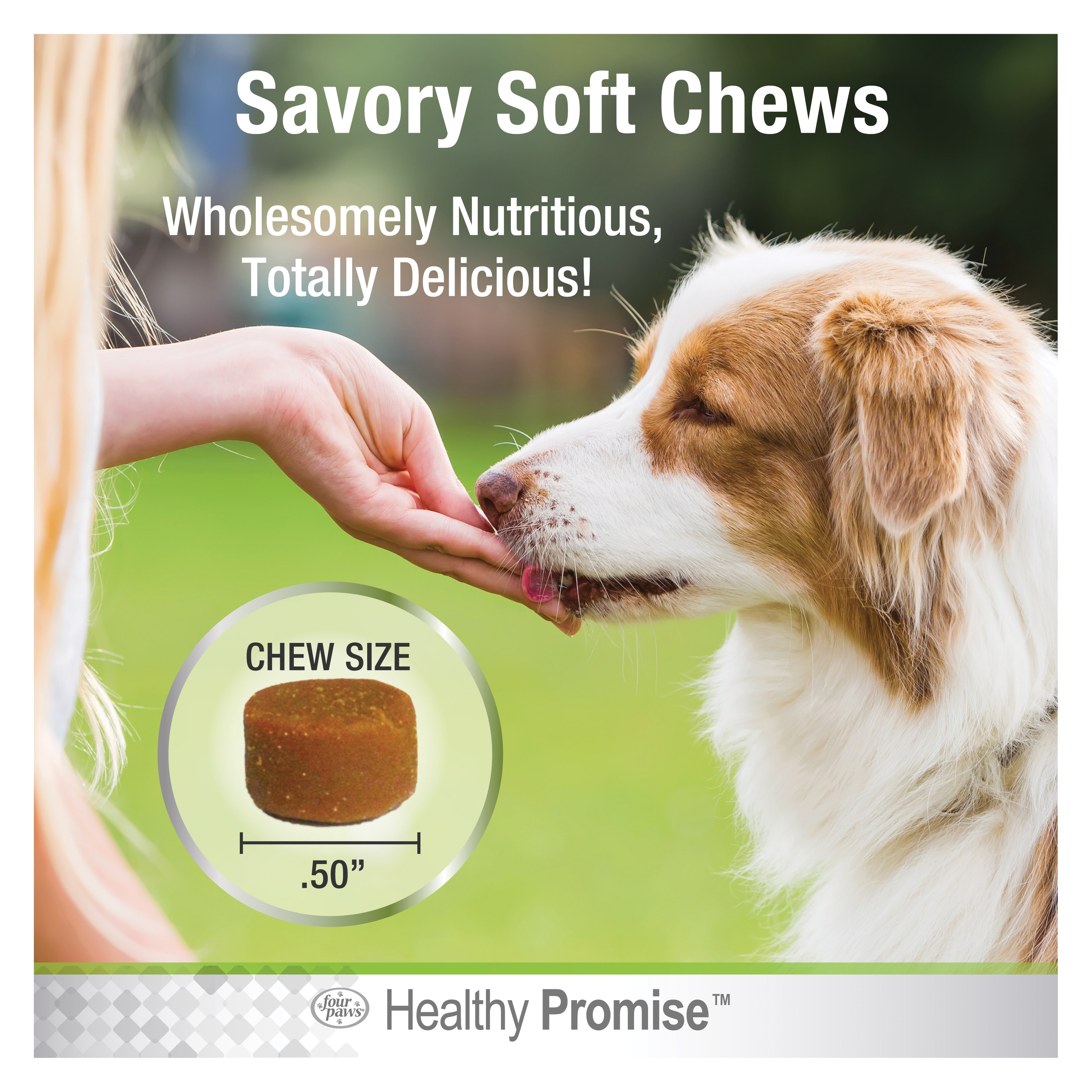 Four Paws Healthy Promise 100540043 Dog Supplement, Pre and Probiotics, Soft Chew, Chicken Flavor - 4