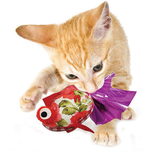 GOLi DESIGn CF-3PC-SET Cat Toy, Crink-A-Fish, Cotton/Mylar Paper, Assorted - 2