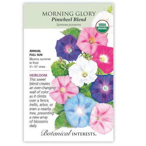 Botanical Interests 2054 Pinwheel Blend Morning Glory Seed, Morning Glory, Ipomoea Purpurea, Summer Bloom, 25 - 2
