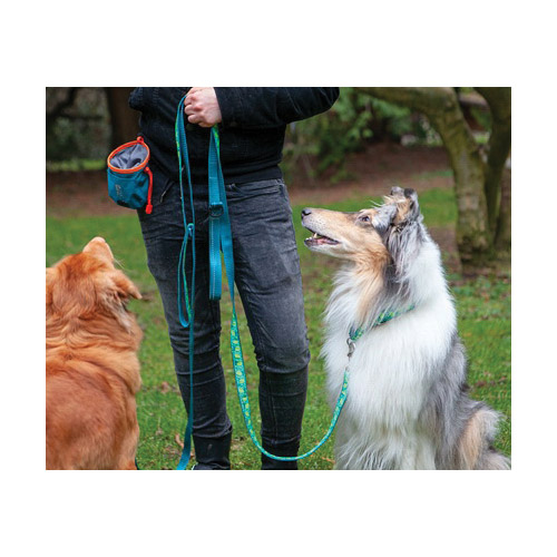 rcpets 66400001 Essential Treat Bag, Nylon/Plastic/Rubber, Heather Black, 4-1/4 in Dia, 5-1/2 in H - 4