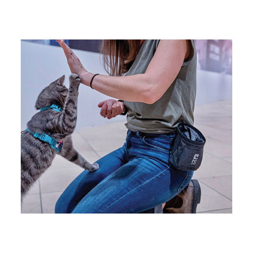 rcpets 66400001 Essential Treat Bag, Nylon/Plastic/Rubber, Heather Black, 4-1/4 in Dia, 5-1/2 in H - 5