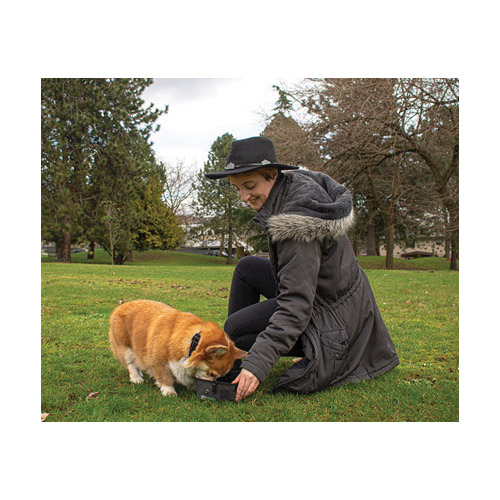 rcpets 61000001 On-The-Go Bowl, Nylon/Polyester, Heather Black - 4