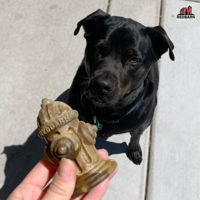 Redbarn Chew-A-Bulls PT00031 Hydrant Dental Dog Treat, M Breed, Special Diet: Gluten, Corn-Free, Wheat, 12 Count - 3