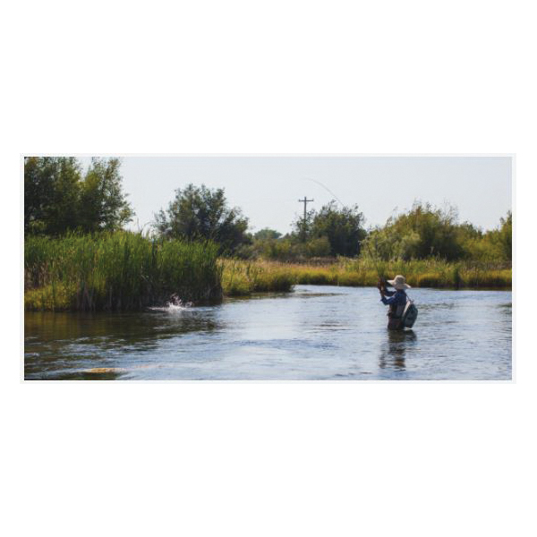 Redington RUN Series 55512R3401 Fishing Reel, 75/20 yd/lb Line, Aluminum, Black - 5
