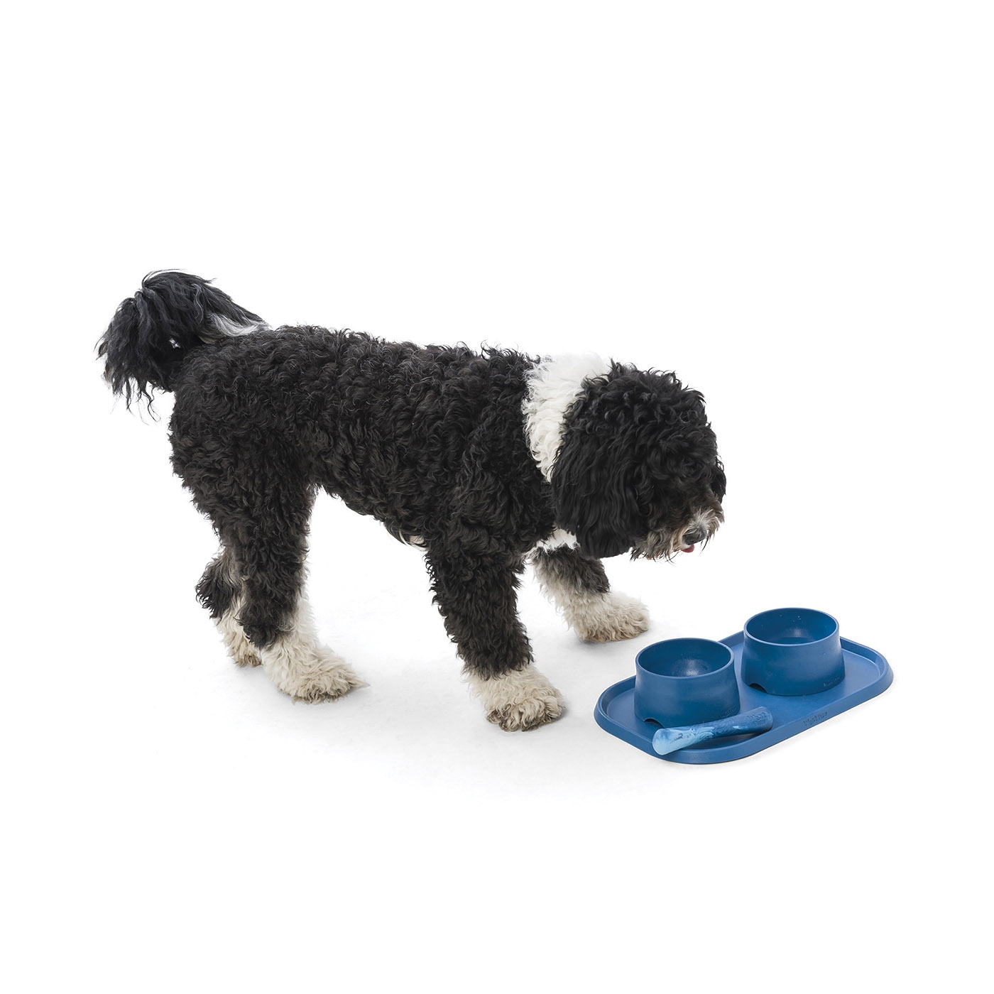 West Paw Drifty SF011HIB Dog Toy, L, Chew Toy, Bone, Plastic, Hibiscus - 1