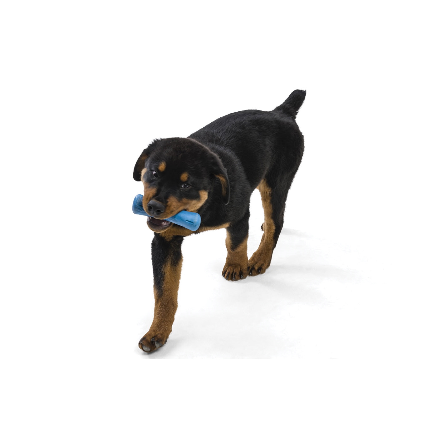 West Paw Drifty SF011HIB Dog Toy, L, Chew Toy, Bone, Plastic, Hibiscus - 2