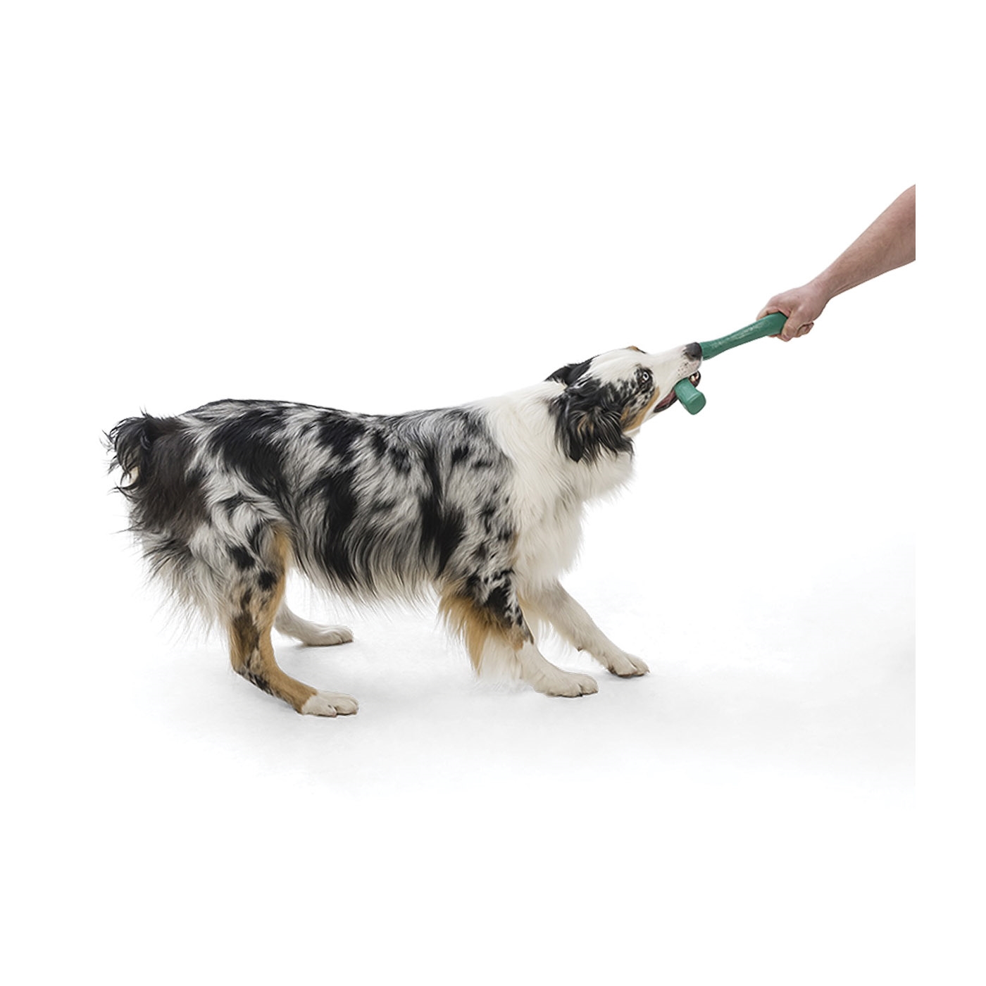 West Paw Snorkl SF051EMD Dog Toy, L, Chew Toy, Bone, Plastic, Emerald - 3