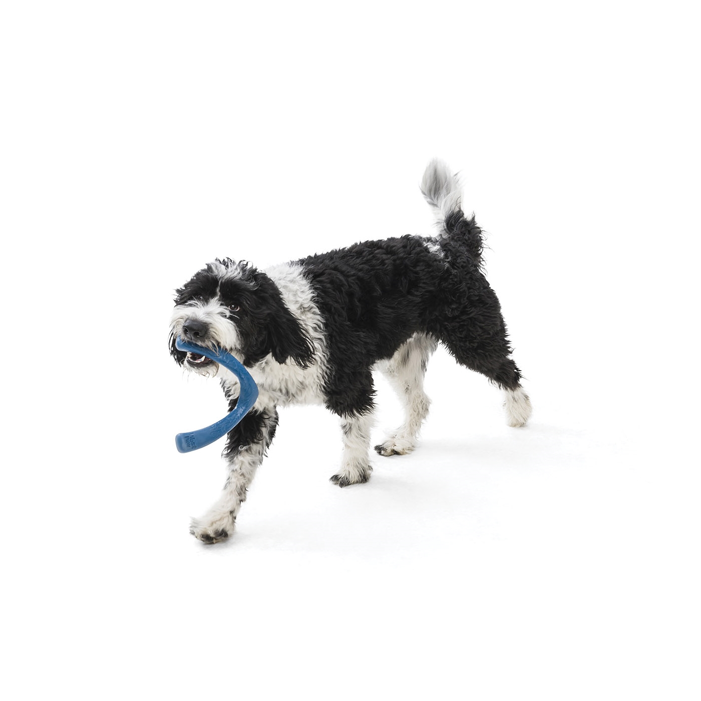 West Paw Snorkl SF051SUR Dog Toy, L, Chew Toy, Boomerang, Plastic, Surf - 4